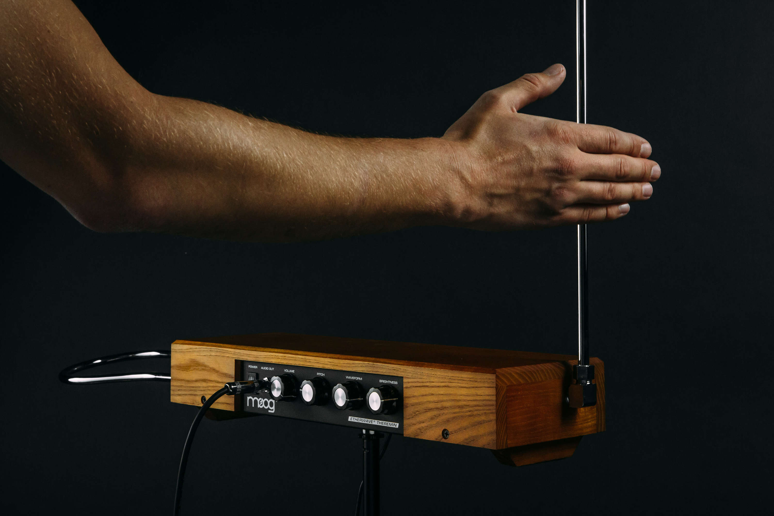 Moog Etherwave Theremin Standard - Ash - Image 4