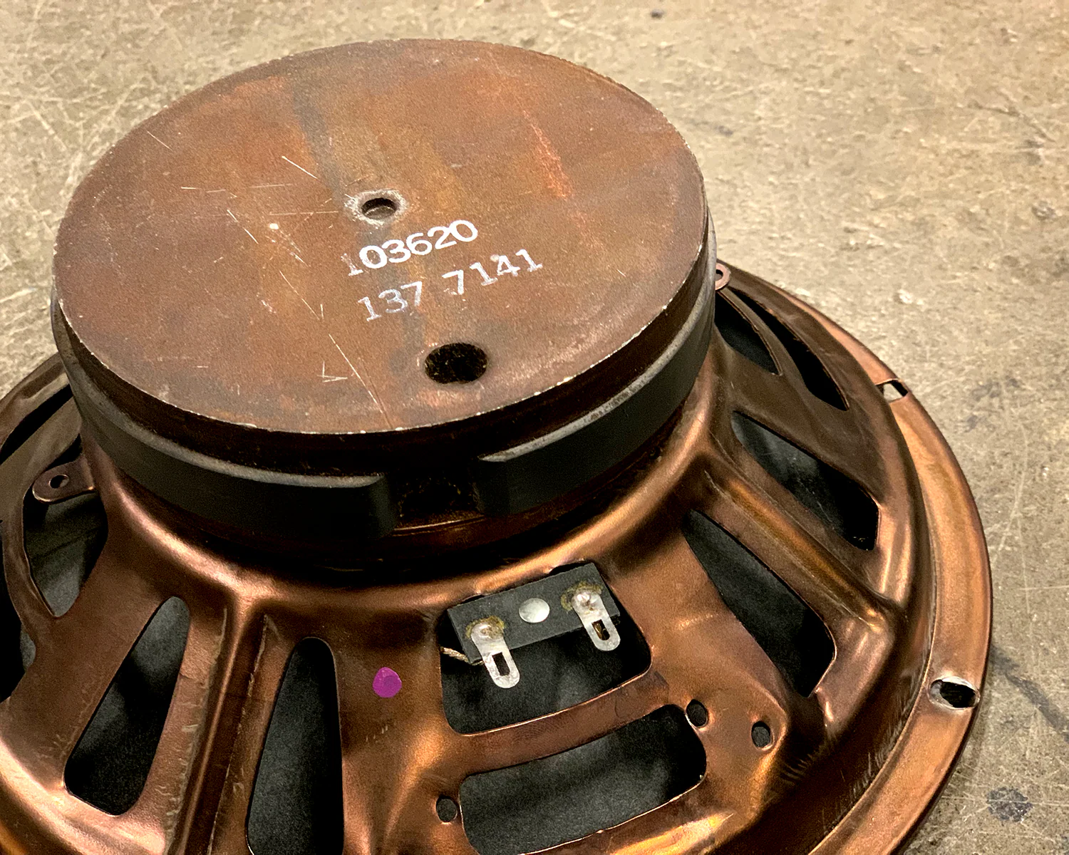 CTS 10" Speaker - Image 3