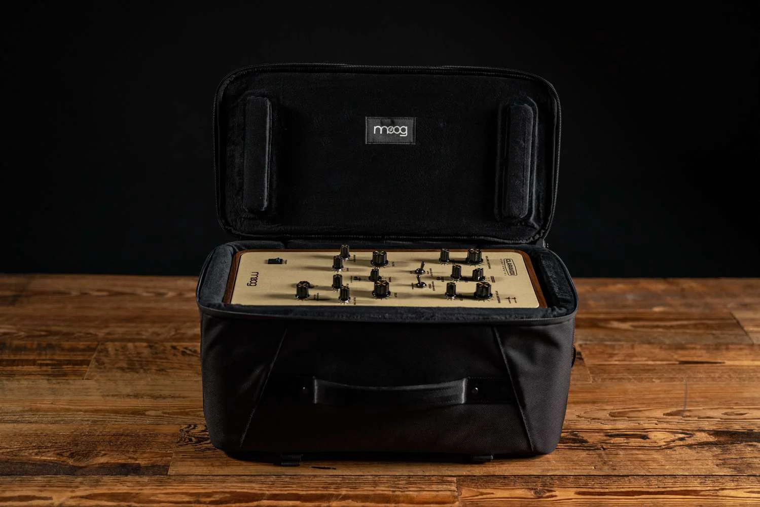 Moog SR Series Claravox Centennial Case - Image 2
