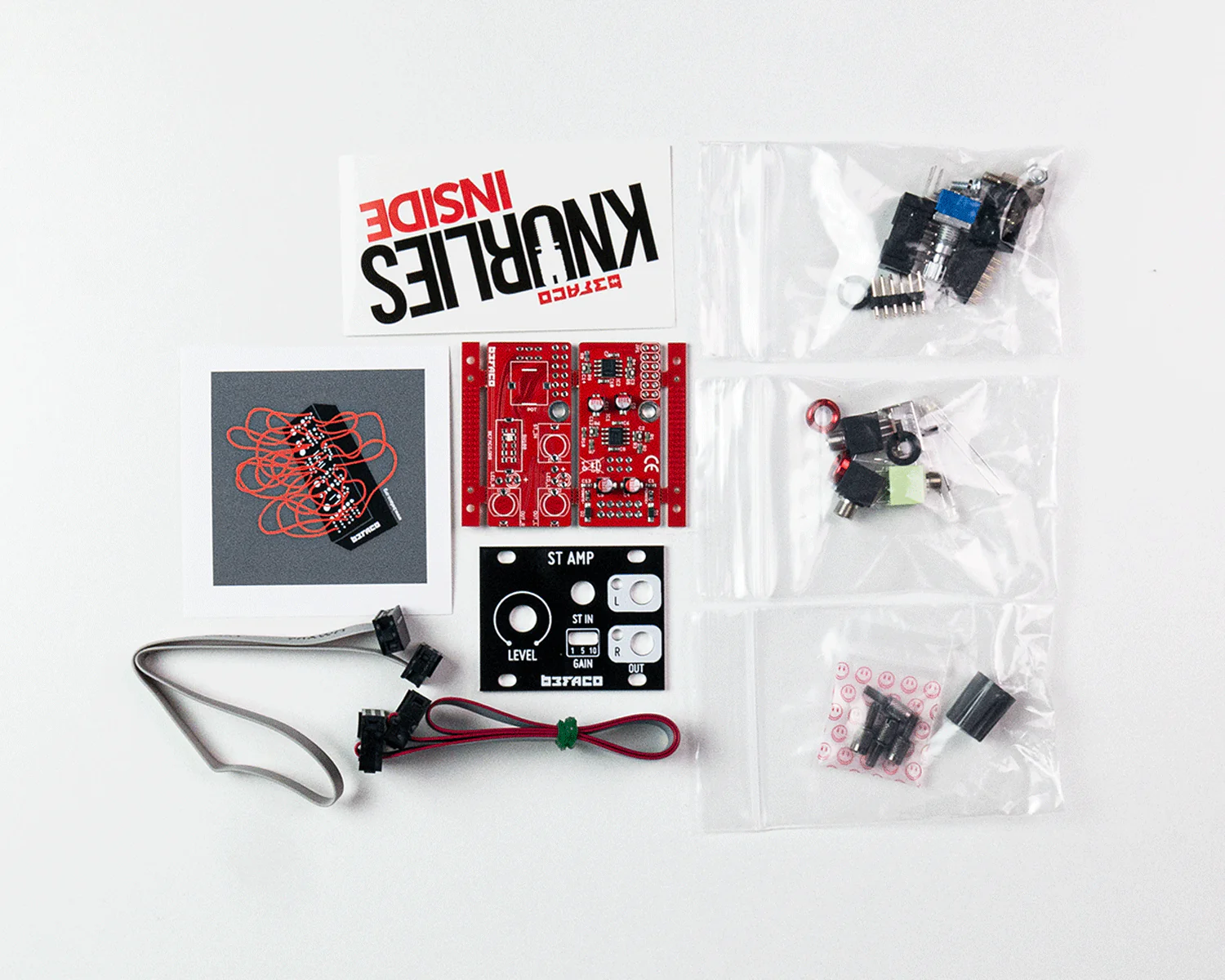 Befaco ST AMP DIY Kit