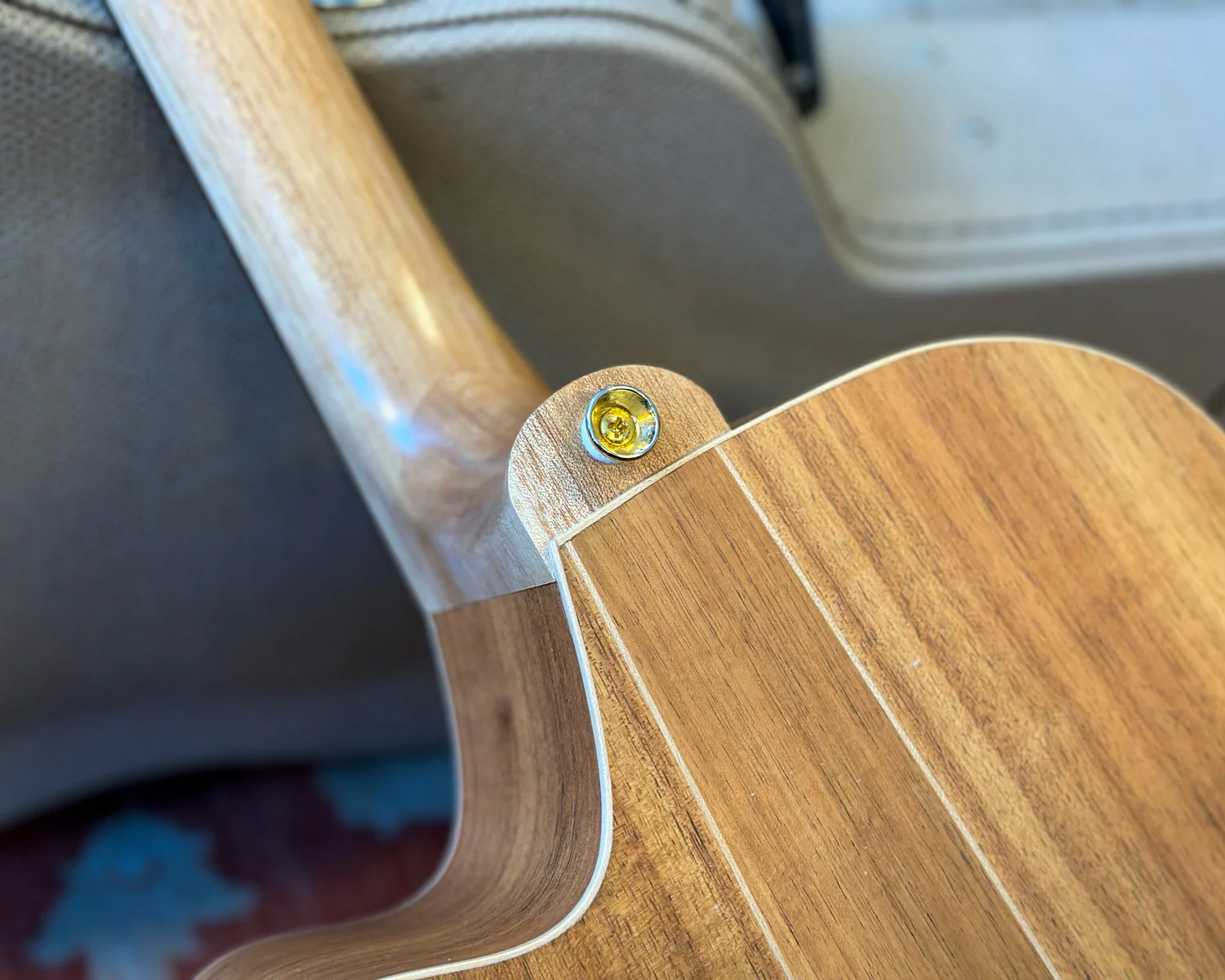 Cole Clark Fat Lady FL2EC Blackwood - Image 9