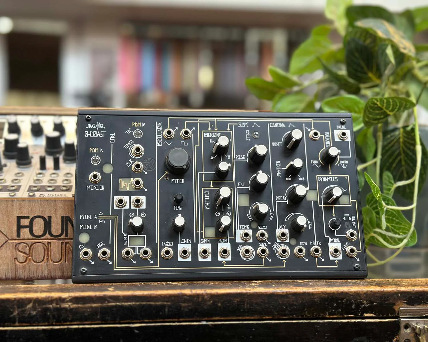 Make Noise 0-Coast Patchable Synthesizer