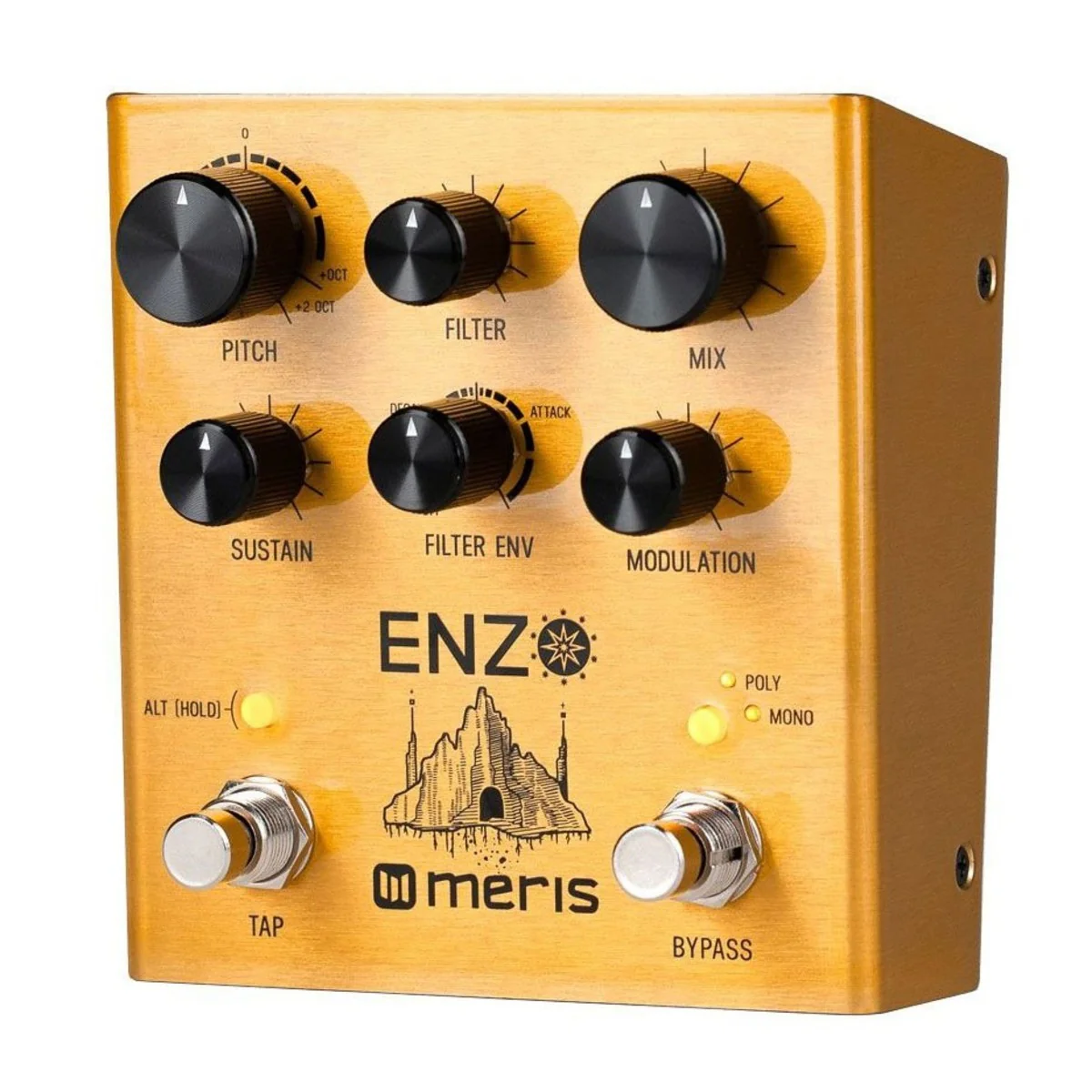 Meris Enzo Multi-Voice Synthesizer Pedal - Image 3